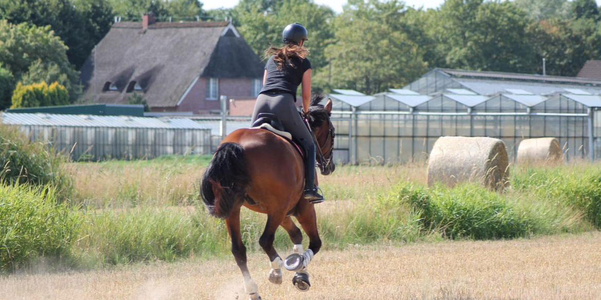 Eggers Reitanlage