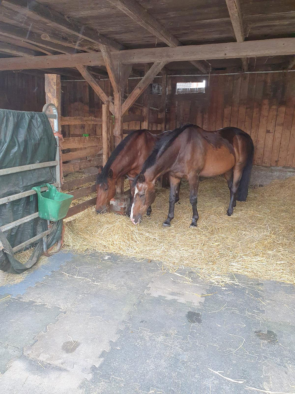 Reitanlage 3
