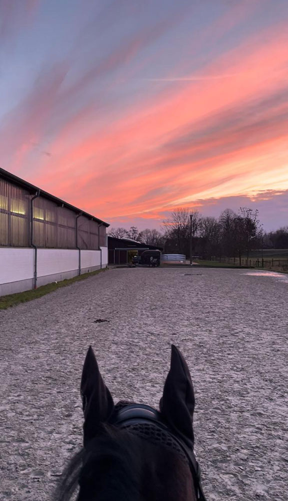Reitanlage 5